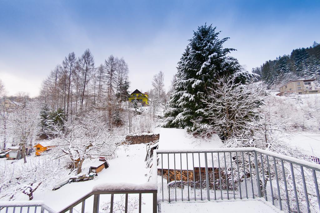 Apartamenty Krystyna Weichsel Exterior foto